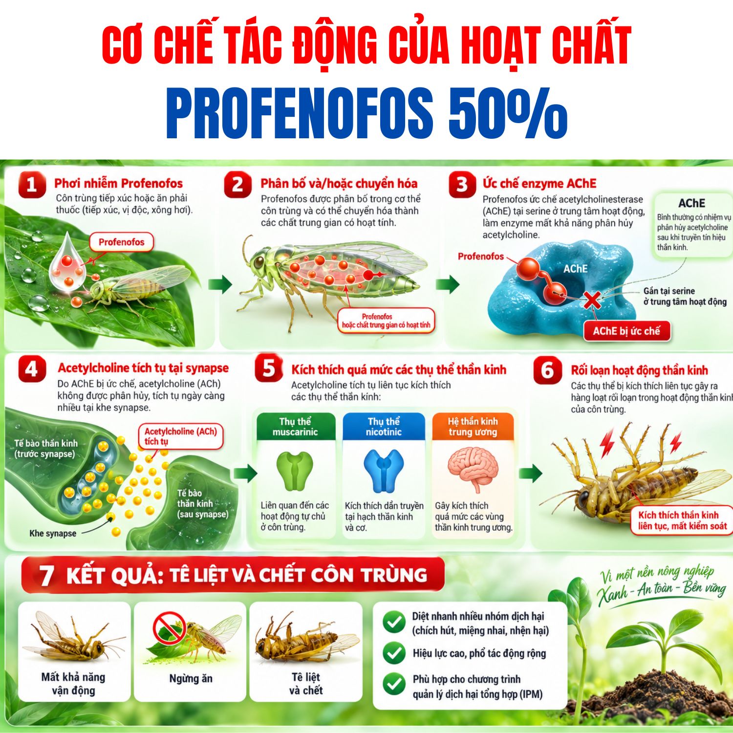 Cơ chế tác động của profen mka hoạt chất profenofos